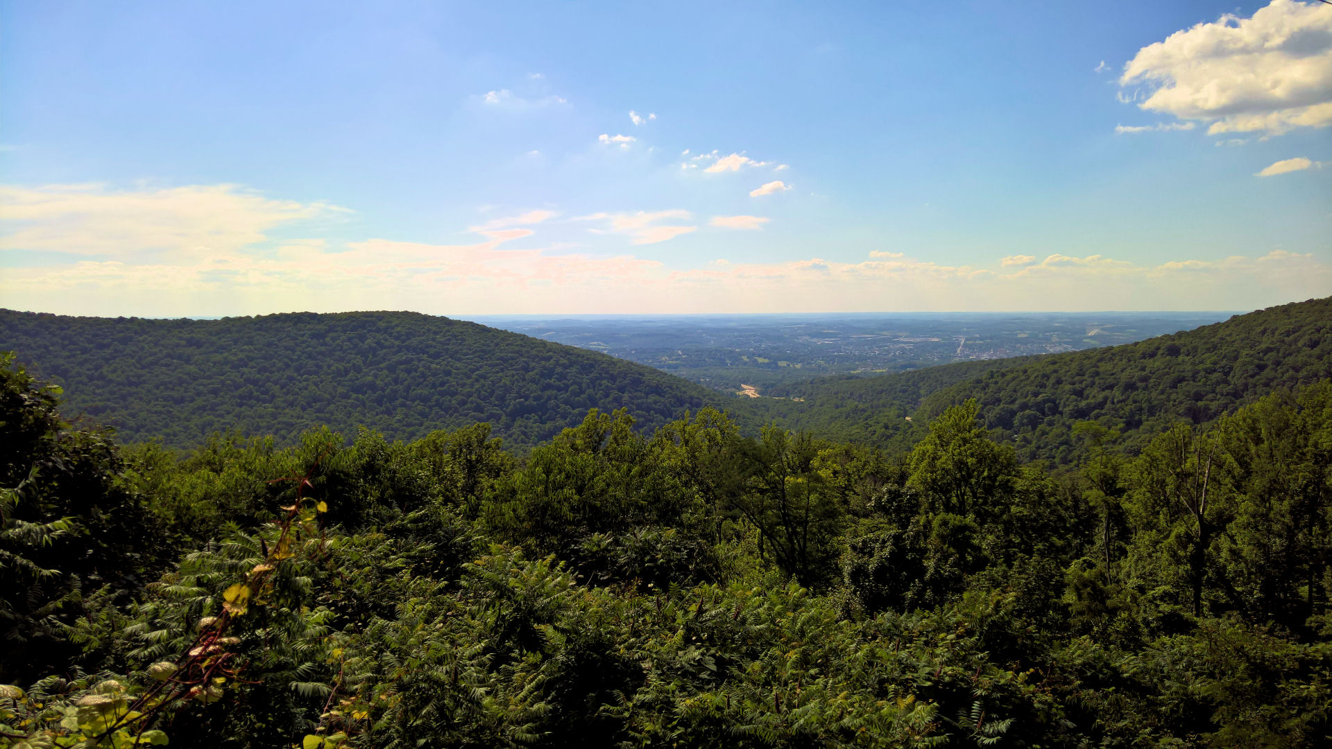 Quintessential Fayette County